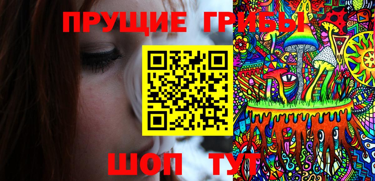 Псилоцибиновые грибы GOLDEN TEACHER Северобайкальск