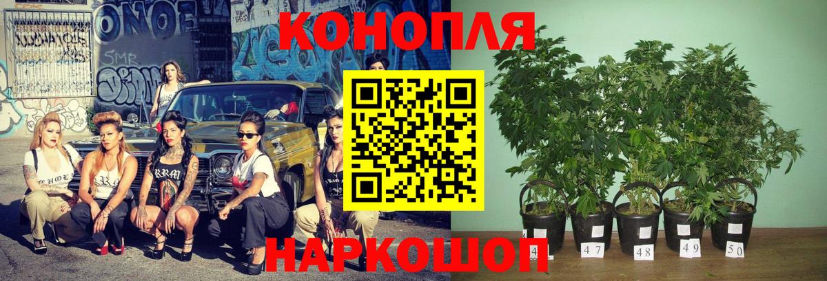 Бошки марихуана ГИДРОПОН  Вход с VPN  Бошки марихуана White Widow  Северобайкальск 
